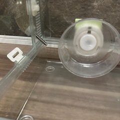 ハムスター　飼育セット　一式の画像