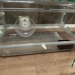 ハムスター　飼育セット　一式の画像