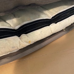 ペット用　大型ベット　多頭にも♡の画像