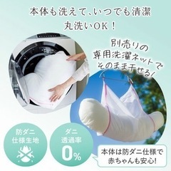 抱き枕の画像
