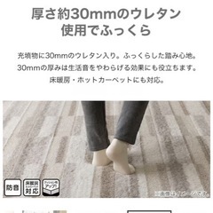 カーペット の画像