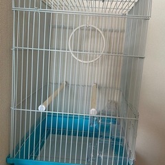BIRD PALACE インコゲージmarukanの画像