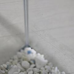 水槽の画像