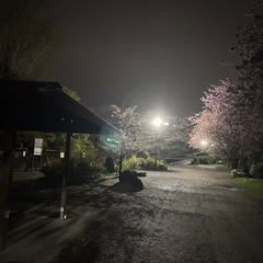 散歩してくれる方募集