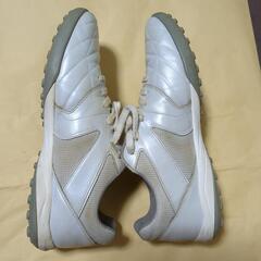 UMBROトレーニングシューズ26cmの画像
