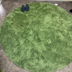 ニトリ　ラグ　の画像
