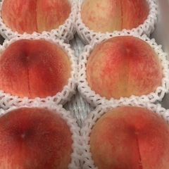 もも　桃　箱売り　専業農家　写真はイメージです　　の画像