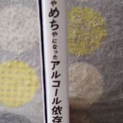 コミックエッセイ　人生が一度めちゃめちゃになったアルコール依存症OLの話の画像
