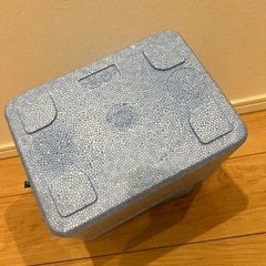 発泡スチロール製のクーラーボックスの画像