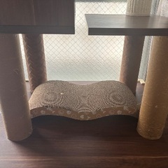 キャットタワー　中古の画像