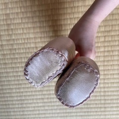 トゥシューズ サンシャ プロIP 8Wの画像