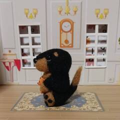 ダックスフンド　クマさん抱えて頭傾げてハイポーズ♥　羊毛の画像
