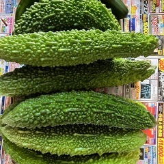 本日限定　ゴーヤの画像