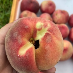 【取引中】早い者勝ち‼️朝採り桃1個100円❗️の画像