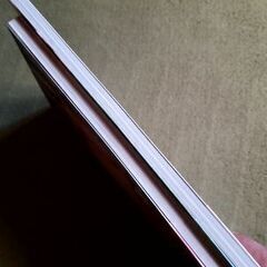 写真集2冊の画像