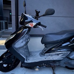 シグナス２型の画像