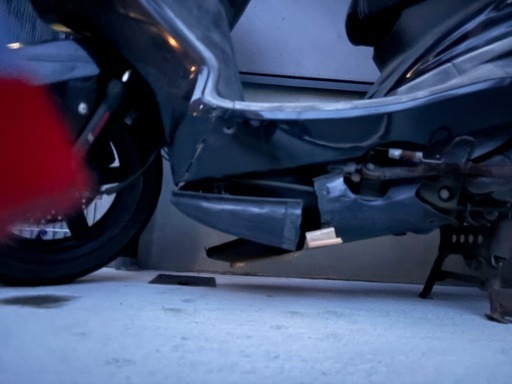 シグナス２型