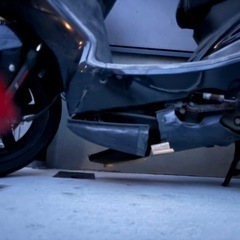 シグナス２型の画像