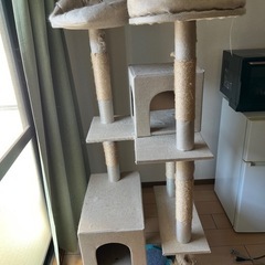 ソファ、収納ケース、キャットタワーの画像