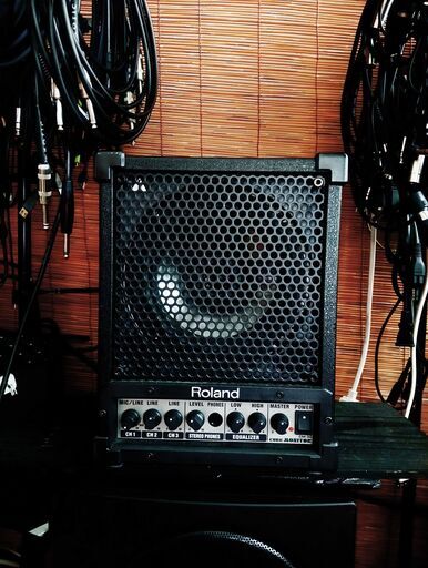 Roland Cube CM-30 パワーフールなモニタースピーカー / 美品 /ギター