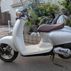 ホンダ　AF54 ジョルノクレア　バッテリー新品！　ワンオーナー車！　埼玉県　原付　50ccの画像