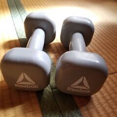 Reebok　ダンベル　3kg　2個セット　鉄アレイ　筋トレの画像
