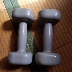 Reebok　ダンベル　3kg　2個セット　鉄アレイ　筋トレの画像