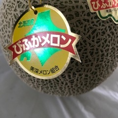 北海道　メロン　メロン　　美深メロン　メロン　びふかメロン　びふかの画像