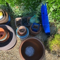 植木鉢やプランターなとの画像