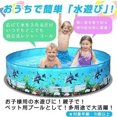 プール 空気入れ不要の画像
