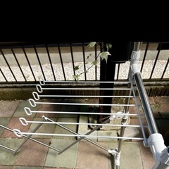 伸縮できる室内物干しの画像