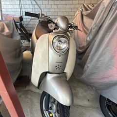 AF55　スクーピー　4st 高額整備済み！交渉可！の画像