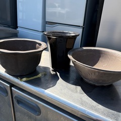 鉢植えの画像