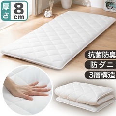 ニトリ抗菌防臭機能付き《シングル敷きふとん》の画像