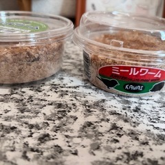 ミルワーム2カップ　動物用餌・釣りに★ の画像