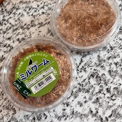 ミルワーム2カップ　動物用餌・釣りに★ の画像