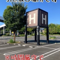 メダカ　アマテラス　天照エボリューションの画像