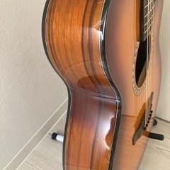 本日限りの特価！aria tg-1 新品エリクサー弦の画像