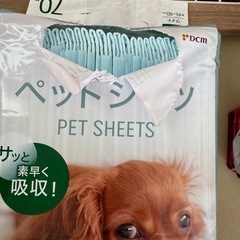 犬飼育セット　ゲージ　餌の画像
