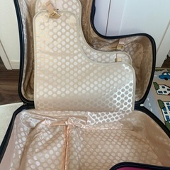 子ども乗せキャリーカートの画像
