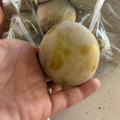 激甘！完熟　ソルダム（プラム）お得1000円の画像