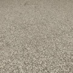 特大カーペットの画像