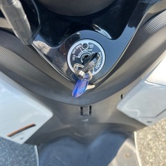 普通免許で乗れるバイクです。の画像