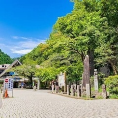 【浮気調査】高尾エリア 🍁 「低料金」＋「調査力」お気軽に…