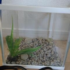 金魚水槽セットの画像