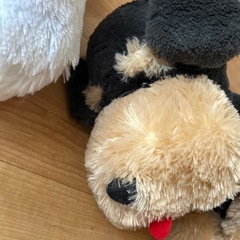 くったり サモエド シュナウザーの画像