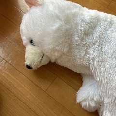 くったり サモエド シュナウザーの画像