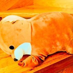 かわうそのぬいぐるみの画像