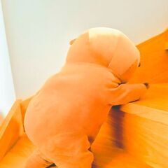 かわうそのぬいぐるみの画像