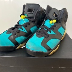 エアジョーダン6 GG　24cmの画像